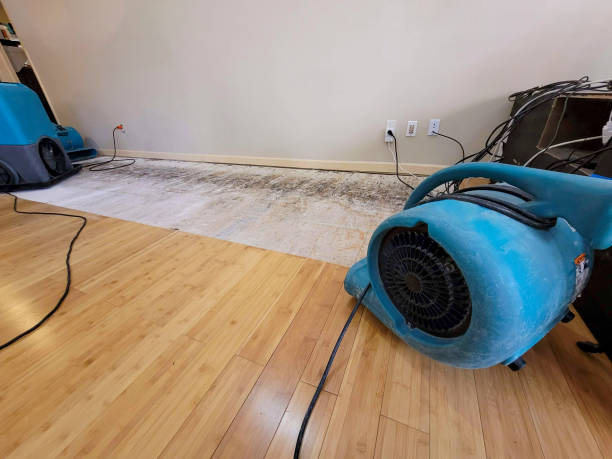 Professional Water Damage Repair technician working in Perrysville, OH